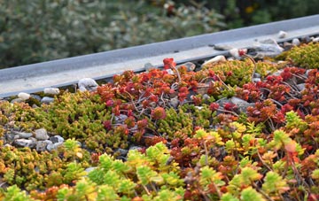 the cost of Salters Heath green roof installation