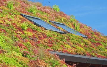 Salters Heath living roof systems