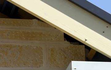 soffit repair Salters Heath